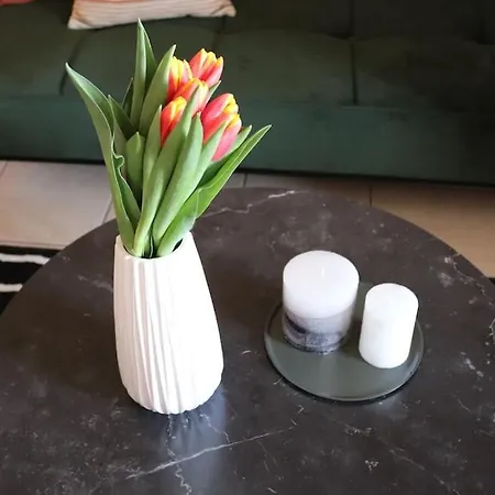 Апартаменты Down Town 27a